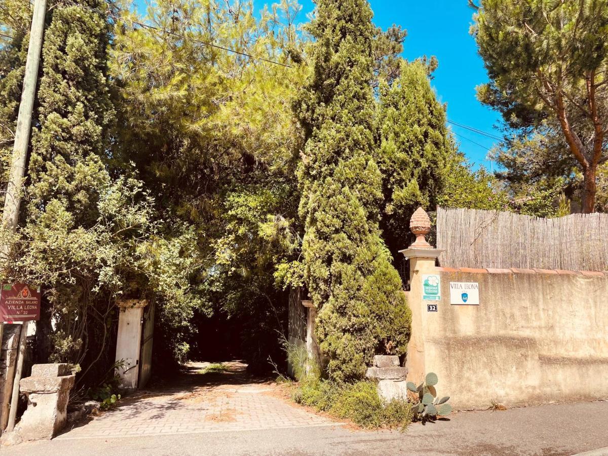 Villa Leona Clim Park ボレーヌ エクステリア 写真